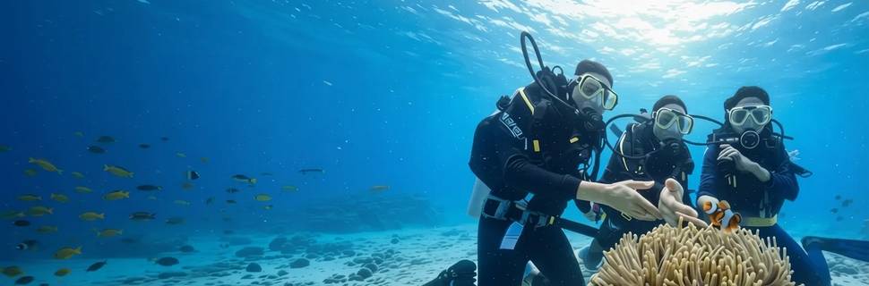 Angel Diver