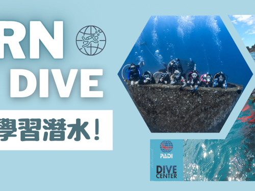 CTDiver