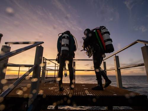 Adelaide Scuba
