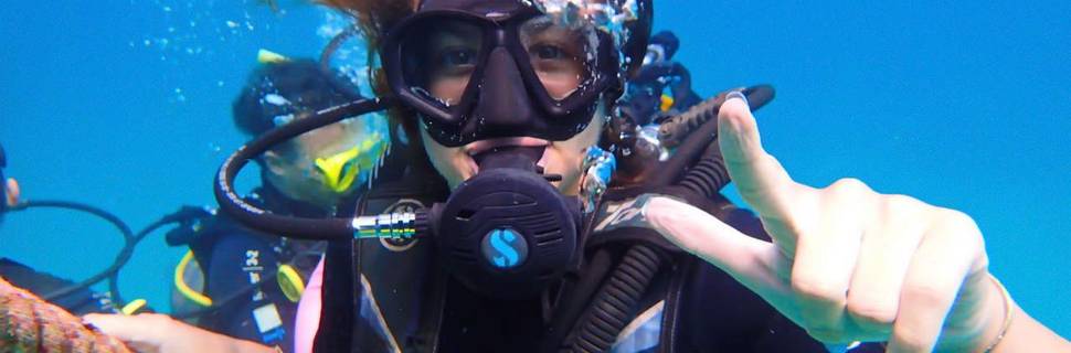 Diving Koh Tao | Scuba Birds PADI Dive Center