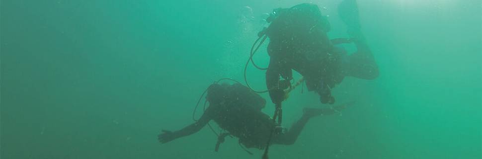 Dive Beyond