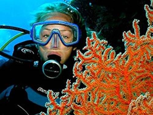 Blue Dive Port Douglas