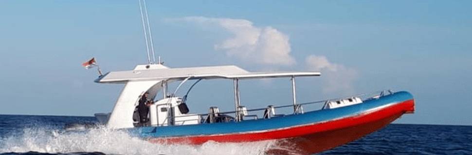 CN DIVE KOMODO