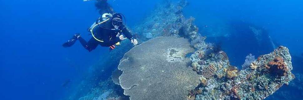 Tulamben Scuba