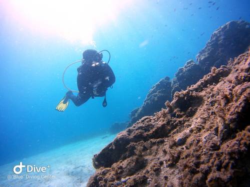 "Blue" Diving Center