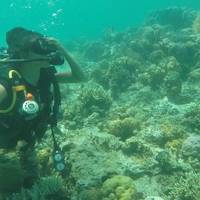 Neptune Dive Center