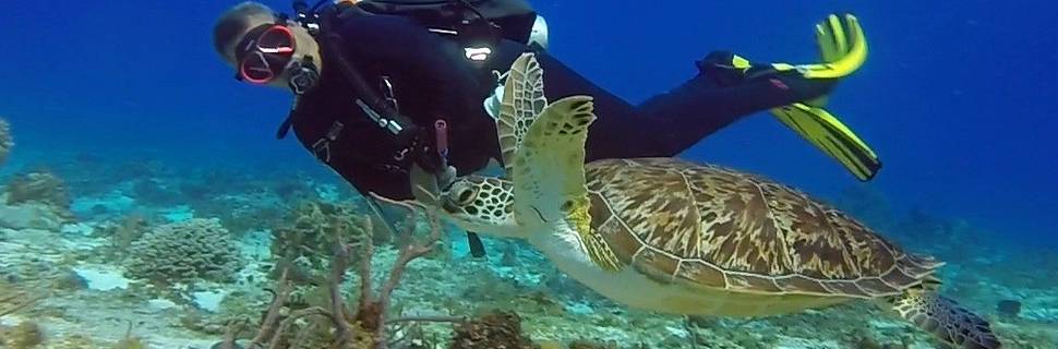 Tres Pelicanos Dive Center