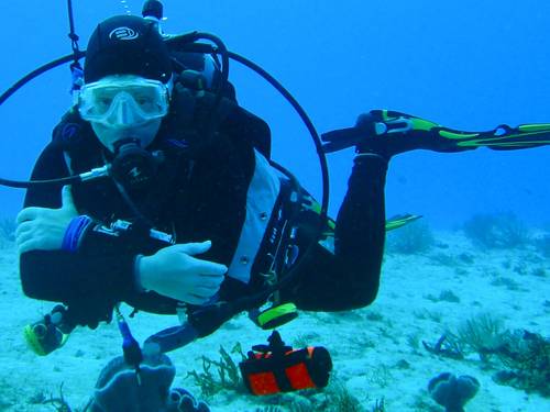 Pearl Divers