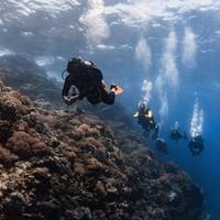 BADLADZ Beach and Dive Resort