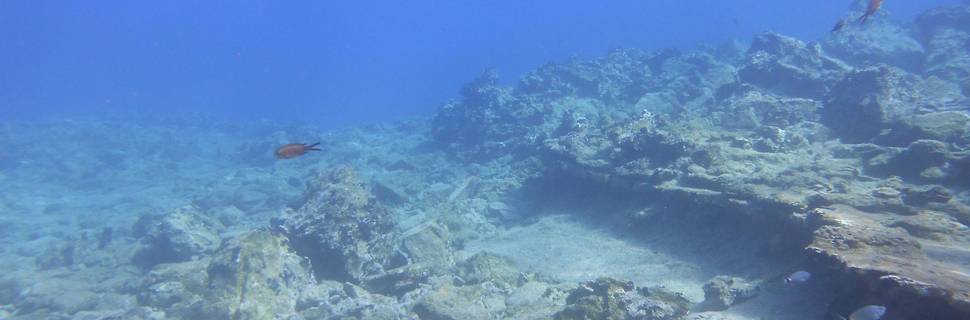 Nima Diving Center - Naxos PADI 5 Star Diving Center
