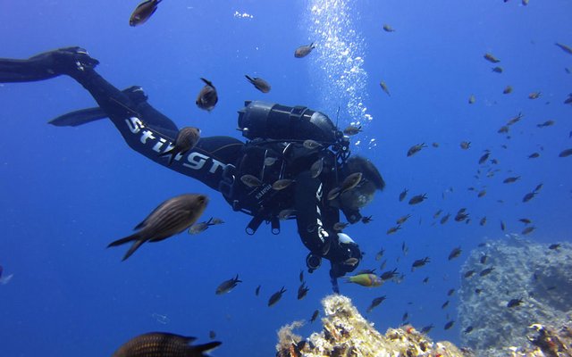 The features of diving in Greece