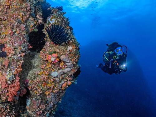 Blue Marlin Dive Lombok