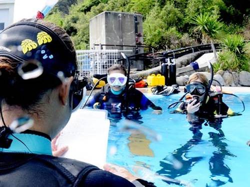 M's Diving Adventure Nishifunabashi