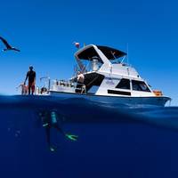 Seasport Divers