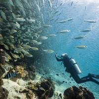 Paradise Divers Koh Kood