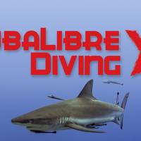 Scuba Libre Diving Ltd