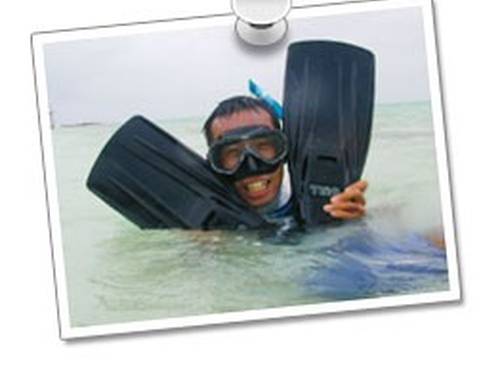 Mako Dive