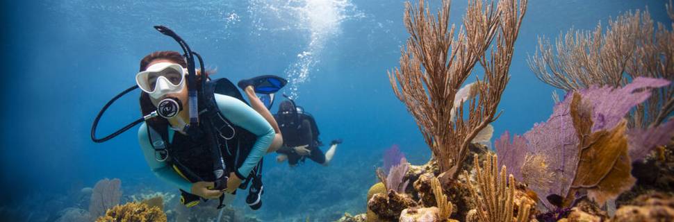 Perhentian Island Divers
