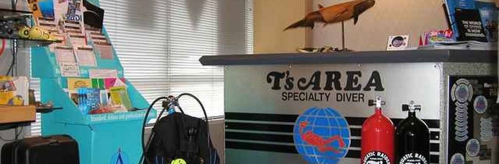 T's Area