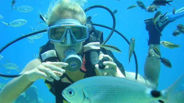 Alpha Divers