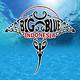 BIG BLUE INDONESIA