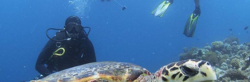 Maldives Dhigu Divers