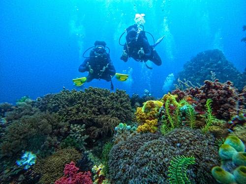 Ticao Island Dive Camp & Resort