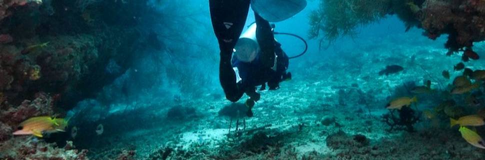 Best Dives Bodufushi
