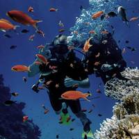 Marsa Adventure Divers