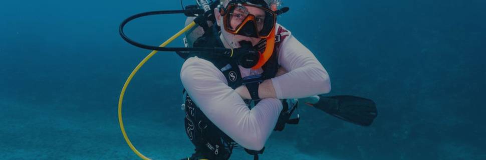 DiVE KS