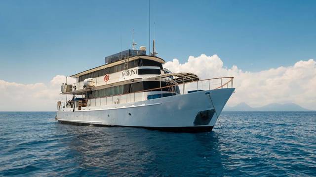 MV FeBrina
