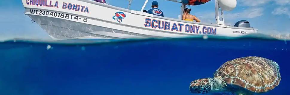 ScubaTony