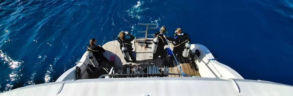 Big Blue Diving Club