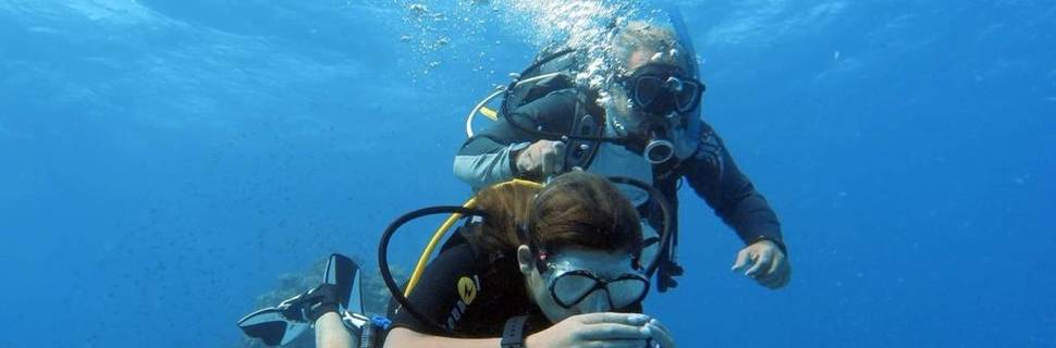 DREAM TEAM DIVERS