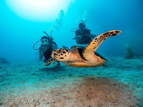 Alghais Diving Center