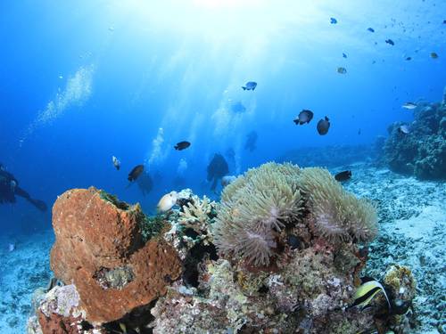 Laguna Gili Dive Center