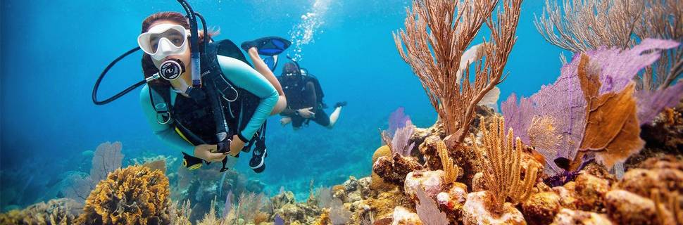 Dive Punta Cana