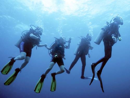 Lulu Dive Center