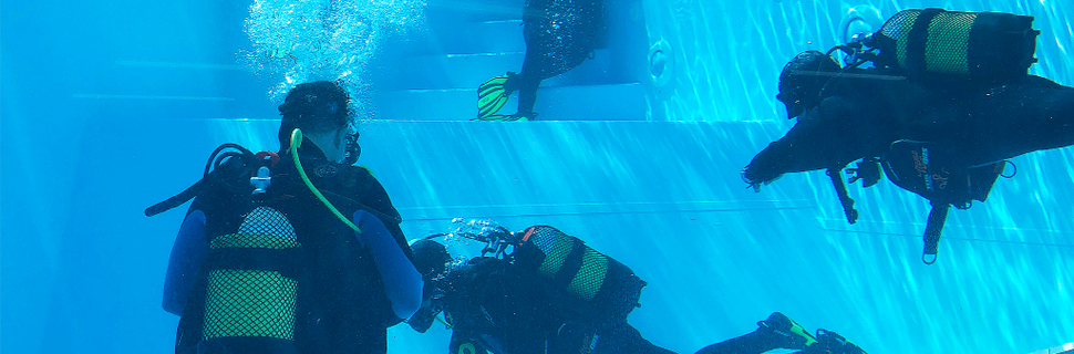 Santa Cruz Dive House