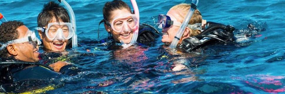Ocean Diving Center