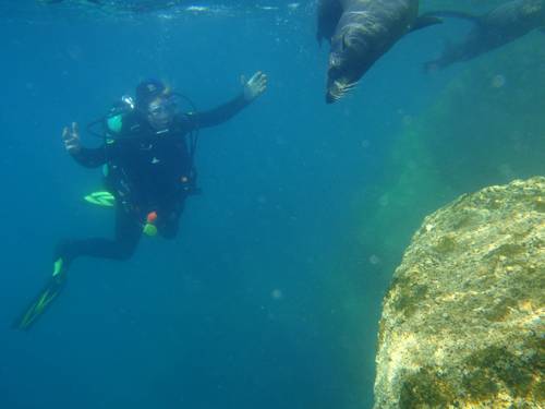 Abyss Dive