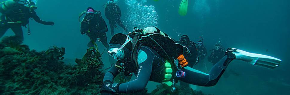 Dive Action
