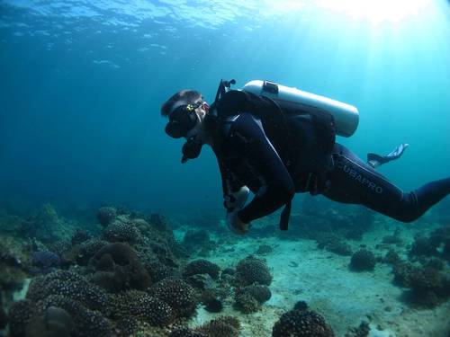 Sheesa Beach Dive Centre