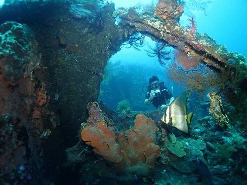 Tulamben Dive - Diving and Snorkelling
