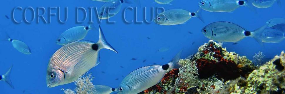 Corfu Dive Club