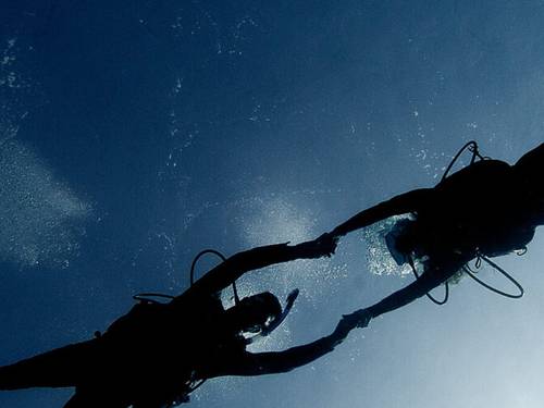 Seashell Divers - Koh Tao