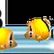 Jah Diving Club