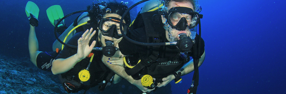 Al Rabdan Diving & Sea Tours