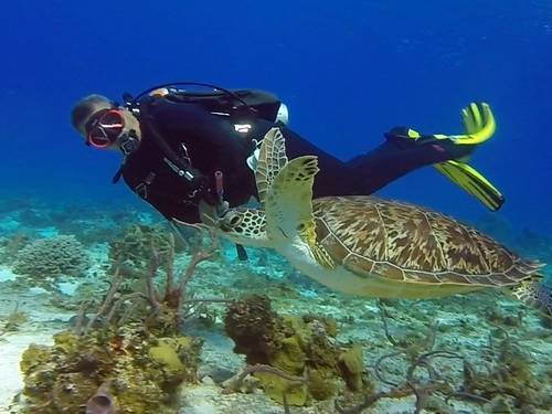 Tres Pelicanos Dive Center