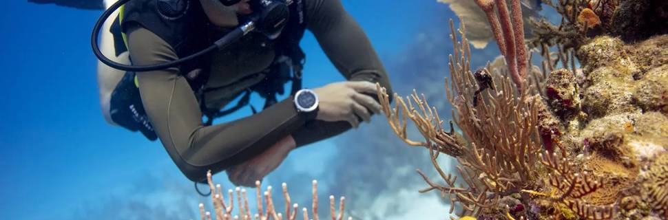 Airlie Beach Dive Centre